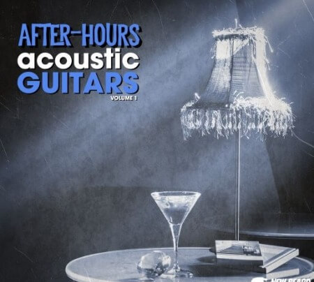 New Beard Media After Hours Acoustic Guitars Vol 1 WAV